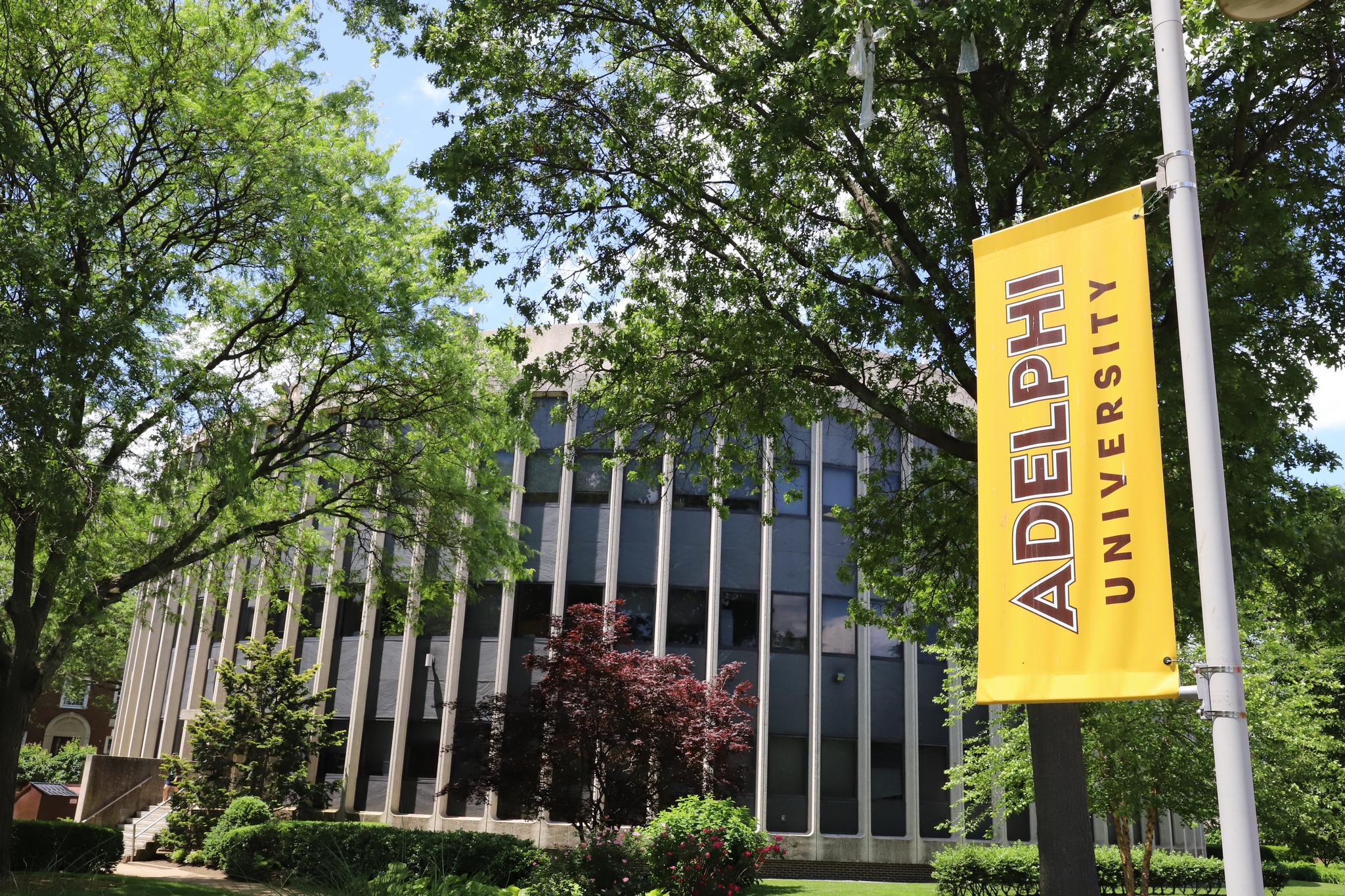 adelphi-university