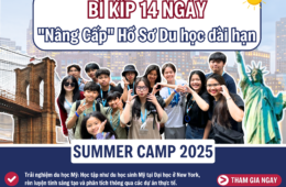 Bí Kíp 14 Ngày “Nâng Cấp” Hồ Sơ Du Học Mỹ Dài Hạn