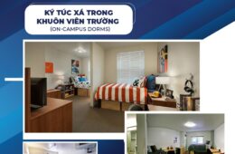 Các Lựa Chọn Nhà Ở Cho Sinh Viên Quốc Tế Tại Mỹ